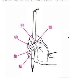 毛笔字握笔姿势视频,视频详解与技巧分享