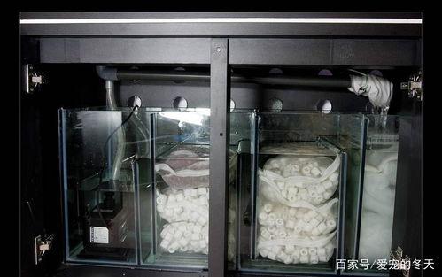 森森鱼缸安装视频,轻松上手，打造家居生态小天地