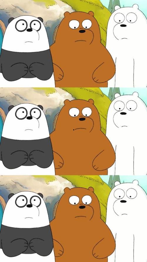 三只熊视频,森林奇遇记