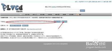 如何提取网页视频,实用技巧与工具解析