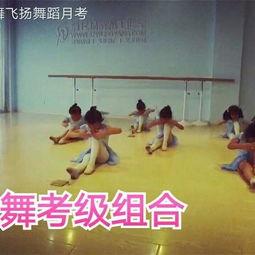姐妹舞蹈考级视频二级,舞动青春——舞蹈考级二级精彩瞬间回顾