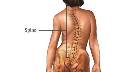 脊柱视频,视频带你探索脊椎奥秘