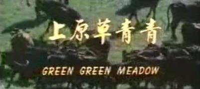 青青草原视频