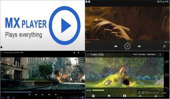a在线视频播放,精彩内容一网打尽