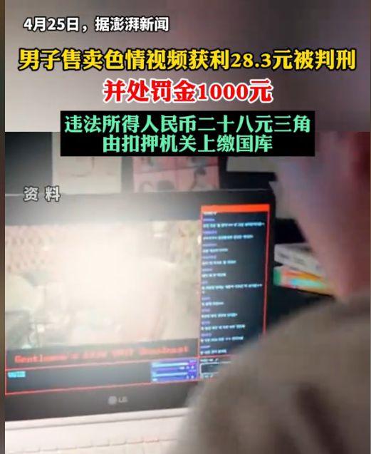 1000视频大全,全方位探索视觉世界的精彩瞬间