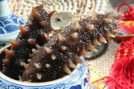 海参怎样清洗视频教程