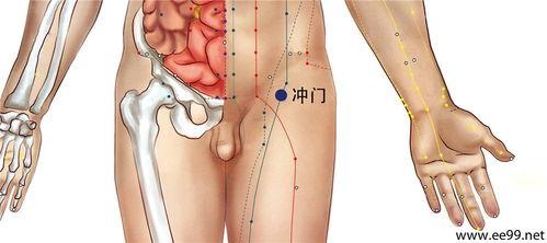 肺俞的准确位置图视频,精准掌握养生之道