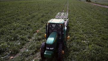 农业视频,农业科技助力乡村振兴