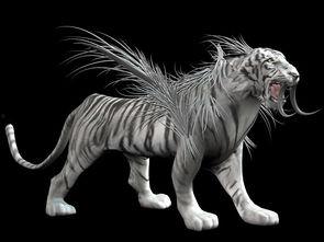 白虎在线视频,揭秘神秘生物的传奇故事